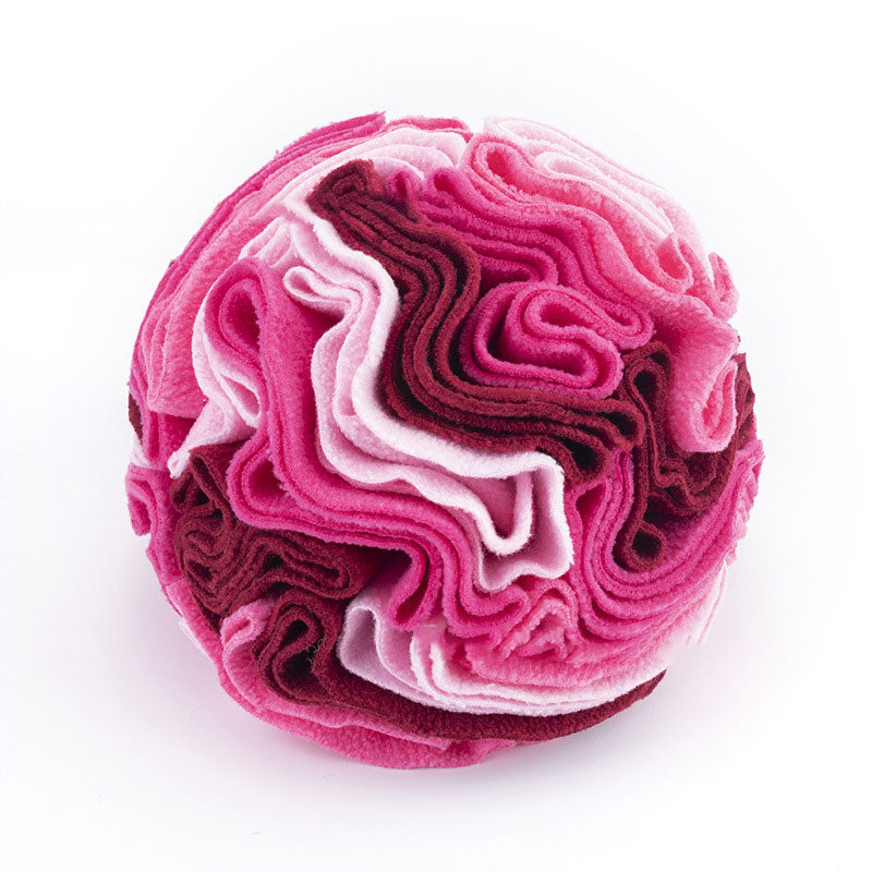 Pet Enrichment Snuffle Ball